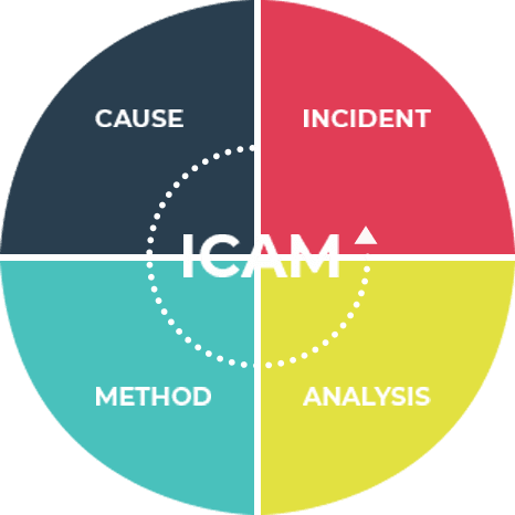 ICAM pie chart